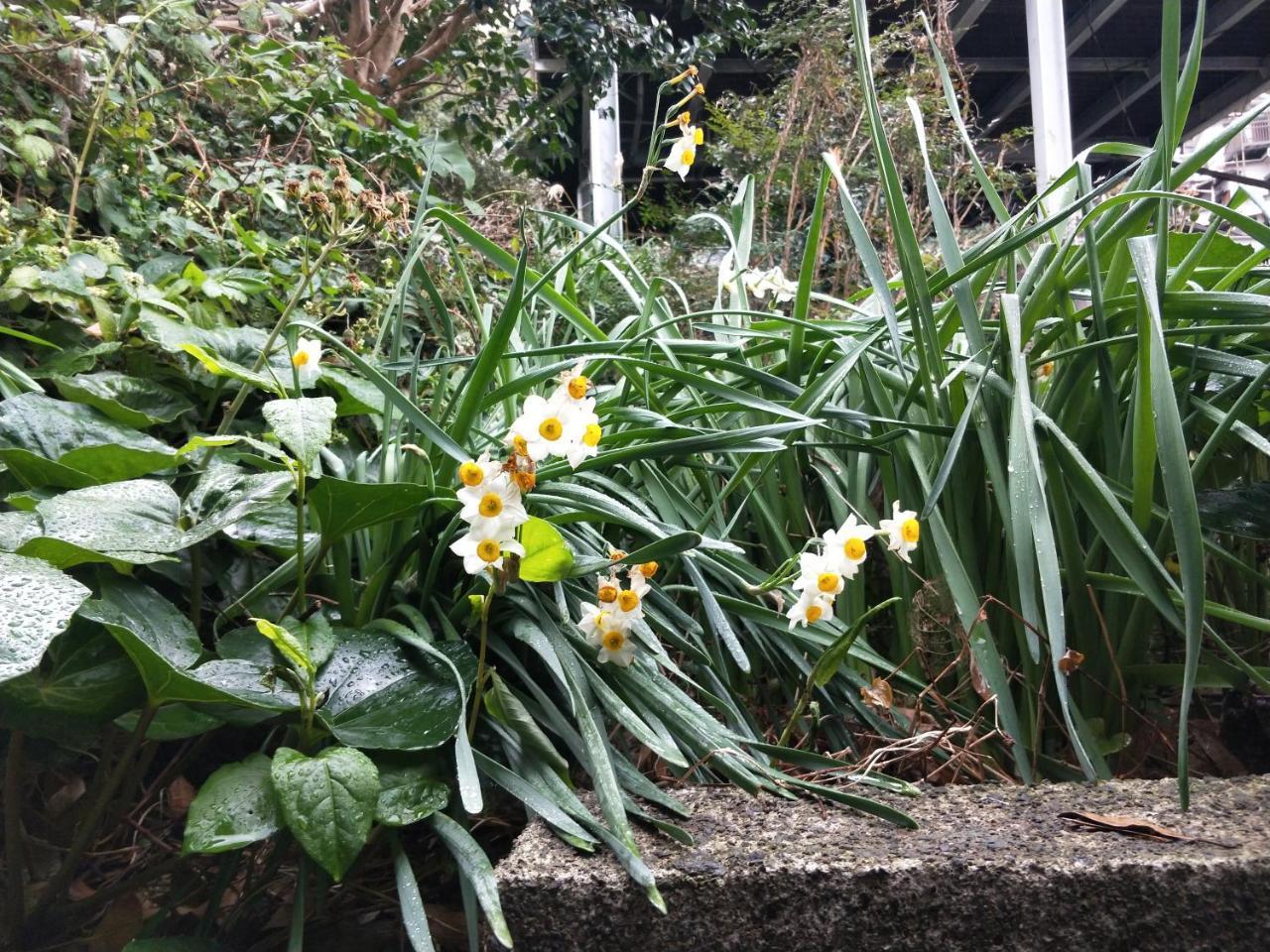 Izu Hokkawa Seaside Guesthouse 伊豆北川の家 Higashiizu Exterior foto